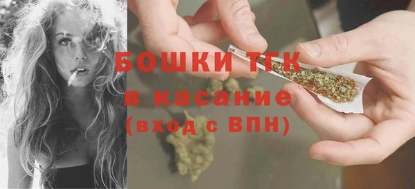 дживик Невьянск