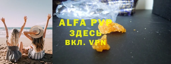 стафф Арсеньев