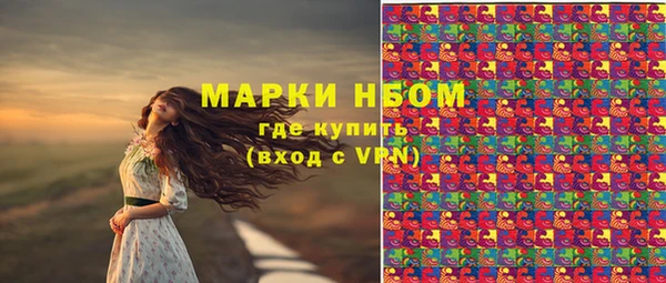 стафф Арсеньев