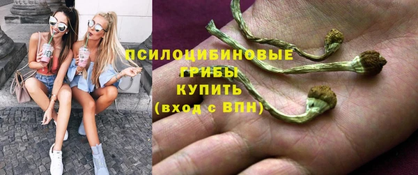 стафф Армянск