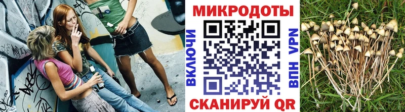 Галлюциногенные грибы Magic Shrooms  Шатура 