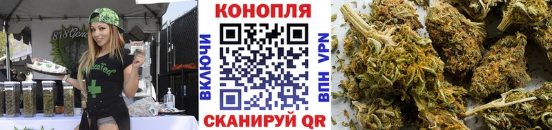 Бошки Шишки конопля  купить наркотики цена  Шатура 